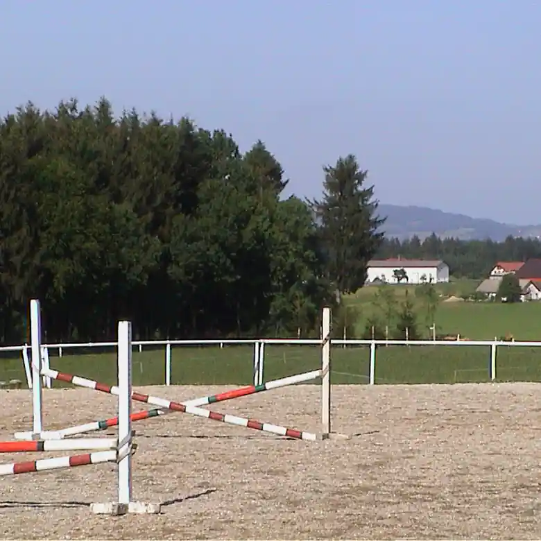 1 / 7: Reitschule Mösl-Haregg in Seekirchen 1 / 7: Reitschule Mösl-Haregg in Seekirchen