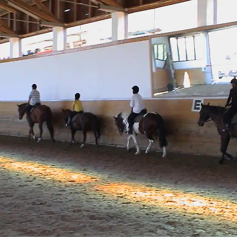 2 / 7: Reitschule Mösl-Haregg in Seekirchen 2 / 7: Reitschule Mösl-Haregg in Seekirchen