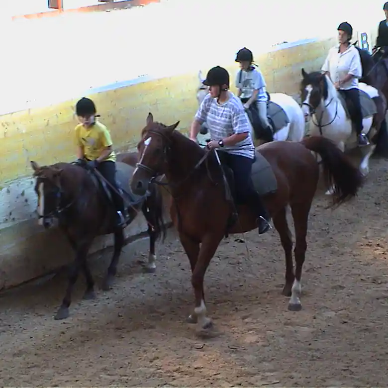 6 / 7: Reitschule Mösl-Haregg in Seekirchen 6 / 7: Reitschule Mösl-Haregg in Seekirchen